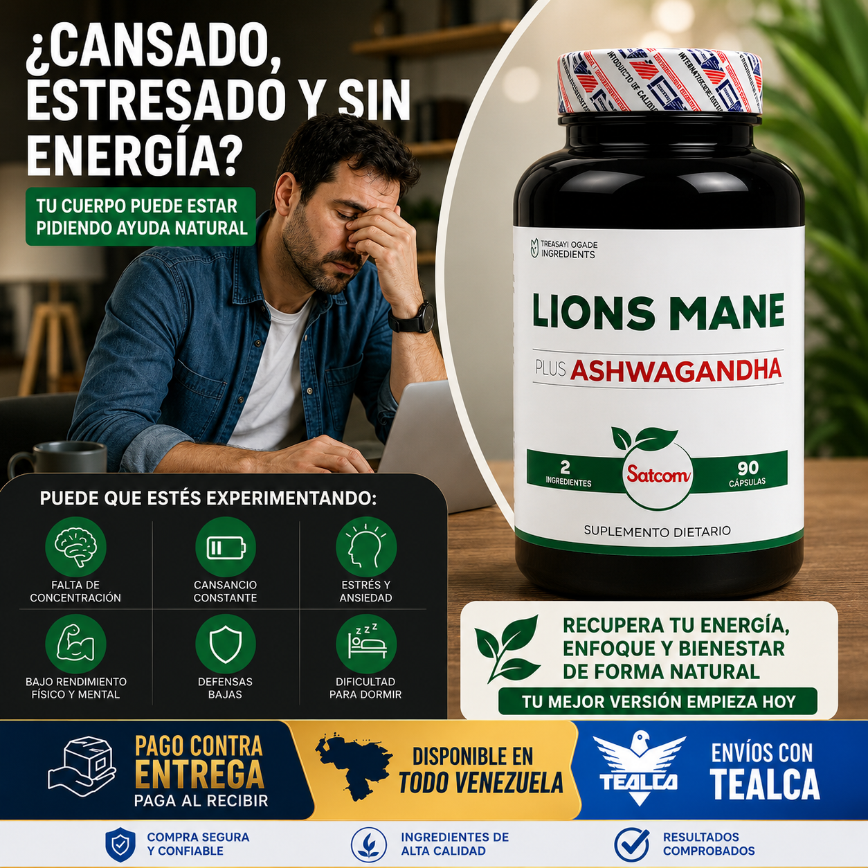 Melena de León + Ashwagandha